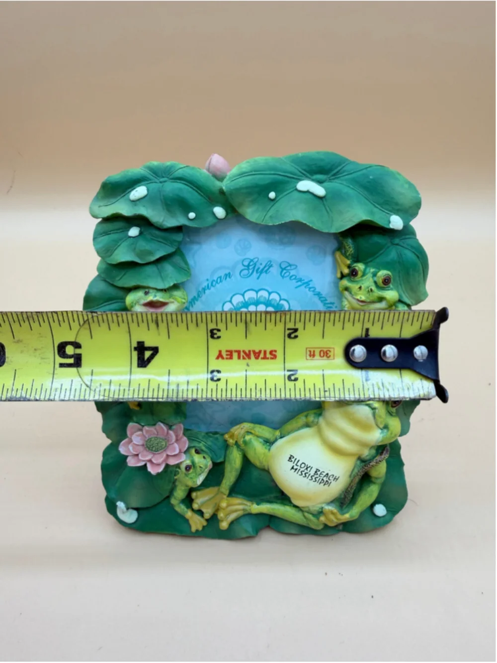 American Gift Corp Prestige Collection Biloxi Beach Frog Lily Pad Photo Frame